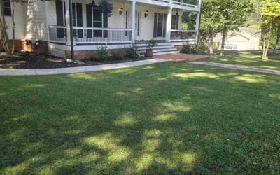 Photo of Mona S.'s yard after getting lawn care in Peachtree City, GA