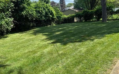 Photo of Saida M.'s yard after getting lawn care in Winder, GA