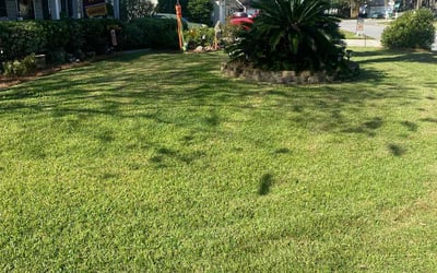 Photo of Roward S.'s yard after getting lawn care in Lodi, CA