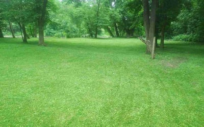 Photo of Julian M.'s yard after getting lawn care in Jenkintown, PA