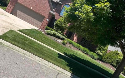 Photo of Miranda G.'s yard after getting lawn care in Rochester, MI