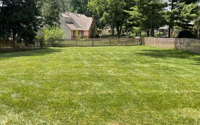 Photo of Bradly W.'s yard after getting lawn care in Englewood, OH