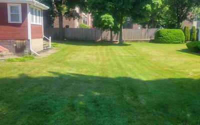 Photo of Kevin Y.'s yard after getting lawn care in Stoneham, MA