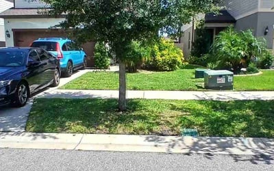 Photo of Rob S.'s yard after getting lawn care in Brownsville, TX
