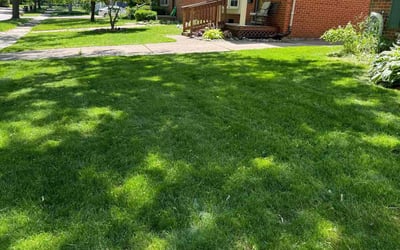 Photo of Michael W.'s yard after getting lawn care in Royal Oak, MI