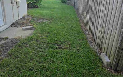 Photo of Mitzi M.'s yard after getting lawn care in Miami Gardens, FL