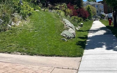 Photo of Laura E.'s yard after getting lawn care in Draper, UT