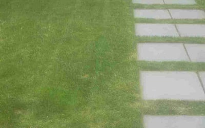 Photo of Terry K.'s yard after getting lawn care in Paramus, NJ