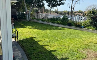 Photo of James Z.'s yard after getting lawn care in Ramona, CA