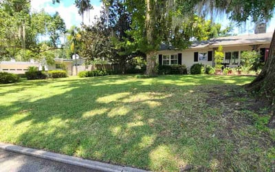 Photo of Sean P.'s yard after getting lawn care in Maitland, FL