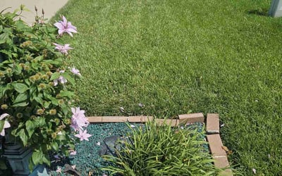 Photo of Tim F.'s yard after getting lawn care in Arlington, TX