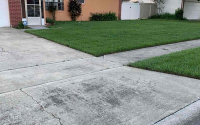 Photo of Lauranne B.'s yard after getting lawn care in Winter Park, FL