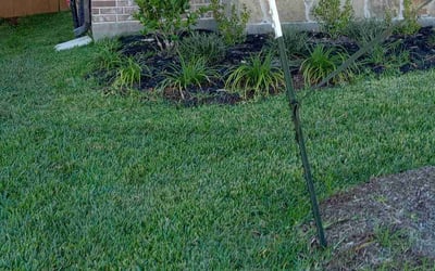 Photo of Natalie J.'s yard after getting lawn care in Cypress, TX