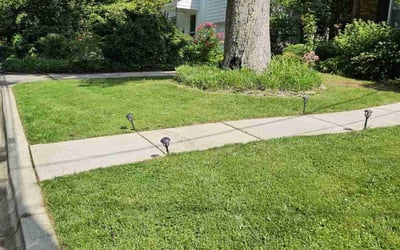Photo of Burneice S.'s yard after getting lawn care in Chevy Chase, MD