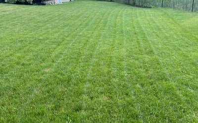 Photo of Jason K.'s yard after getting lawn care in Natick, MA