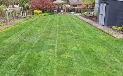 Photo of Miramique B.'s yard after getting lawn care in Kenmore, WA
