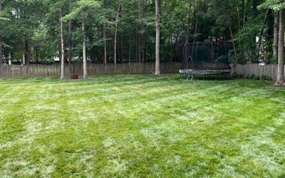 Photo of Kimberleigh P.'s yard after getting lawn care in Glen Allen, VA