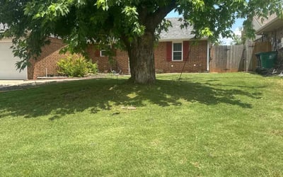 Photo of Caleb B.'s yard after getting lawn care in Severn, MD