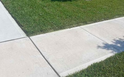 Photo of Drew T.'s yard after getting lawn care in Orange City, FL