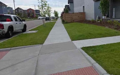 Photo of Drucilla R.'s yard after getting lawn care in Olive Branch, MS