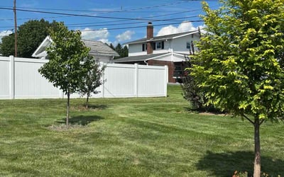 Photo of Jason D.'s yard after getting lawn care in Charlotte, NC