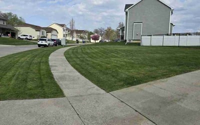 Photo of Barbara K.'s yard after getting lawn care in Des Moines, IA