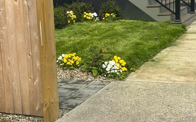 Photo of Brandon L.'s yard after getting lawn care in Lititz, PA