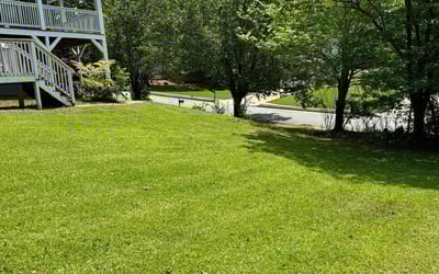 Photo of Courtany L.'s yard after getting lawn care in Lithia Springs, GA