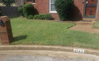 Photo of Kris A.'s yard after getting lawn care in Memphis, TN