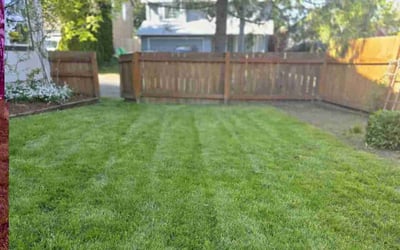Photo of Megan G.'s yard after getting lawn care in Beaverton, OR
