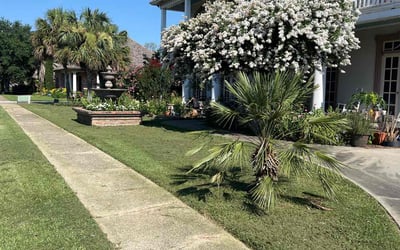 Photo of Suzanne T.'s yard after getting lawn care in Saint Martinville, LA