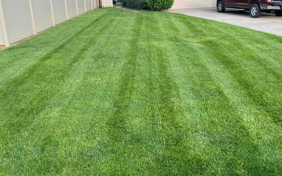 Photo of Michelle R.'s yard after getting lawn care in Owensboro, KY
