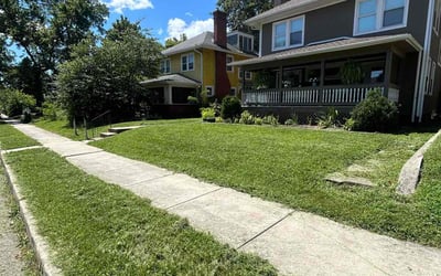 Photo of James R.'s yard after getting lawn care in Palatine, IL