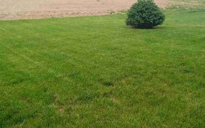 Photo of Linda B.'s yard after getting lawn care in Canal Winchester, OH