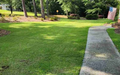 Photo of Seliyah M.'s yard after getting lawn care in Knightdale, NC
