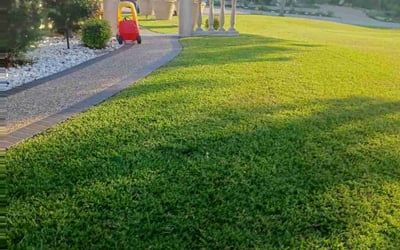 Photo of Missy Y.'s yard after getting lawn care in Hutto, TX