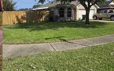 Photo of Vonetta W.'s yard after getting lawn care in Brownsville, TX