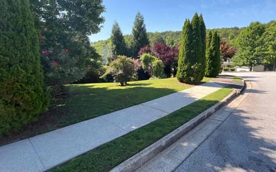 Photo of Kathleen C.'s yard after getting lawn care in Bluefield, WV