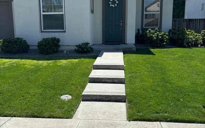 Photo of Chloe B.'s yard after getting lawn care in Tracy, CA