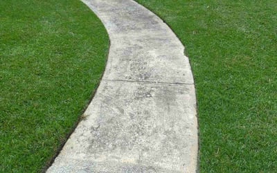 Photo of Mark P.'s yard after getting lawn care in Chester, SC