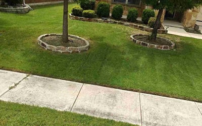 Photo of Justin N.'s yard after getting lawn care in Queens Village, NY
