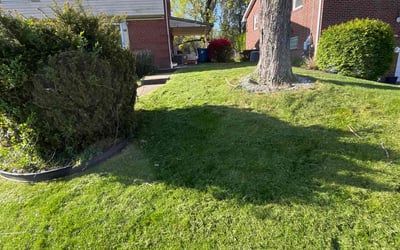Photo of Kenneth S.'s yard after getting lawn care in Cranberry Twp, PA