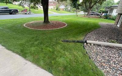 Photo of Robin B.'s yard after getting lawn care in New Brighton, MN