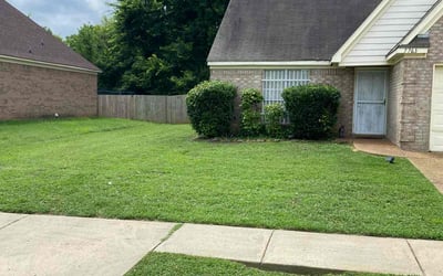Photo of Daniel H.'s yard after getting lawn care in Marion, AR