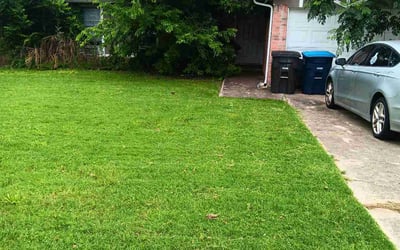 Photo of Emory H.'s yard after getting lawn care in Vail, AZ