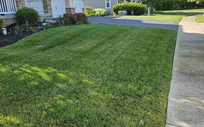 Photo of Shawna D.'s yard after getting lawn care in New Lexington, OH