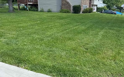 Photo of Colby H.'s yard after getting lawn care in Clemson, SC