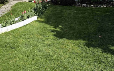 Photo of Koya T.'s yard after getting lawn care in Grafton, WI