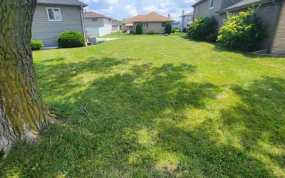 Photo of Joan T.'s yard after getting lawn care in Wilmington, IL