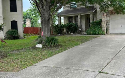 Photo of Sandra F.'s yard after getting lawn care in Farmington, MI